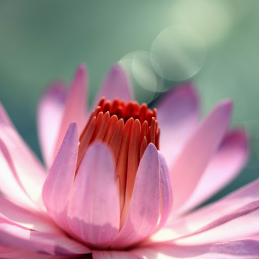 Hd-160901-ascw160901