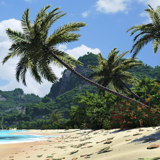 Hd-160029-ascw160029