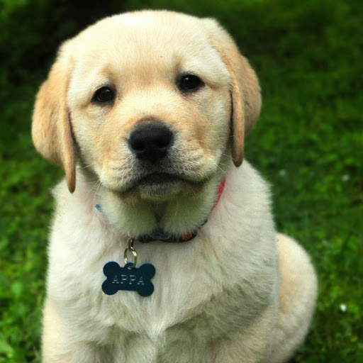 Hd-175871-ascw175871