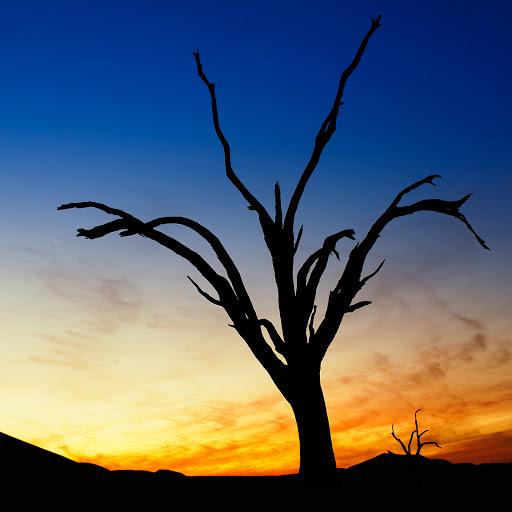 Hd-161225-ascw161225