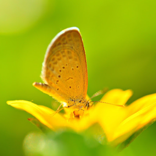 Hd-165221-ascw165221