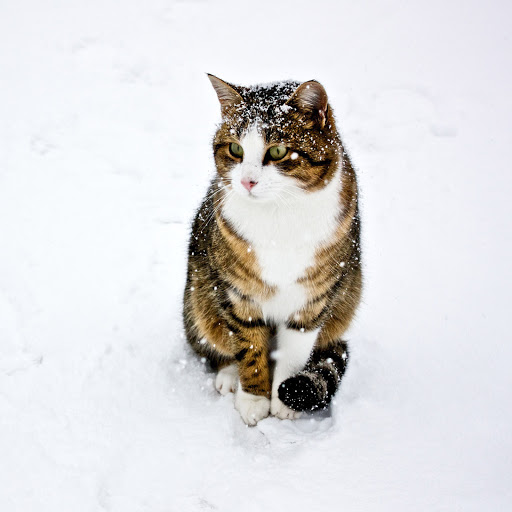 Hd-182603-ascw182603