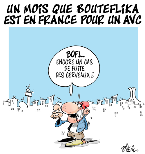 64_dilem_130528111537 (1).jpg