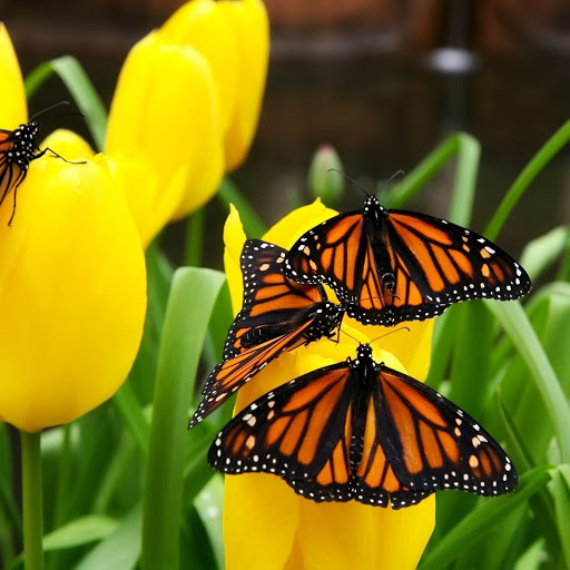 Hd-142595-ascw142595