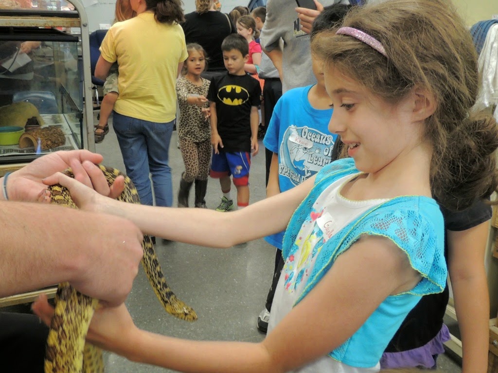 [DSCN9387%255B3%255D.jpg]