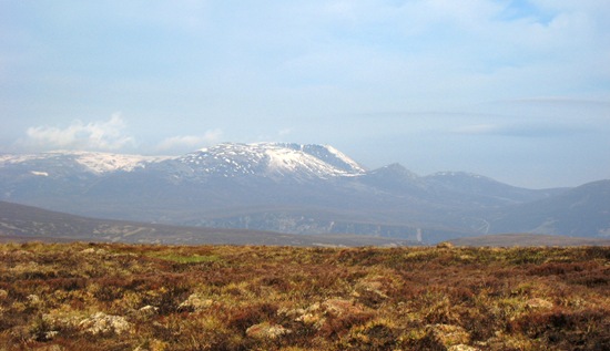 Lochnagar from Muckle Cairn