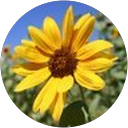 Kimberly Miller profile picture