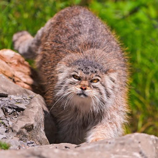 Hd-173471-ascw173471