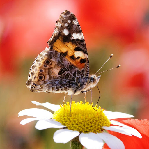 Hd-144714-ascw144714