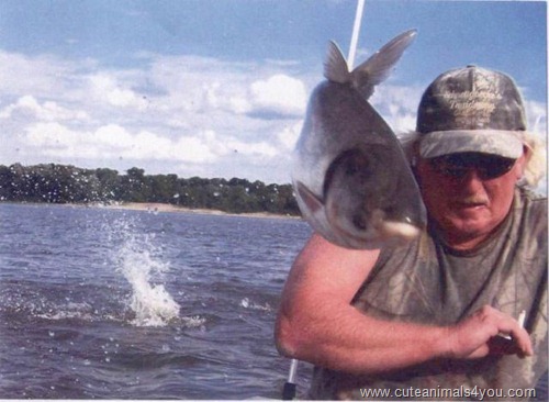 50_Funniest_Animal_Photobombs_Of_All_Time_09