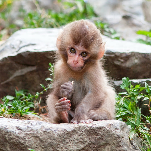 Hd-158769-ascw158769