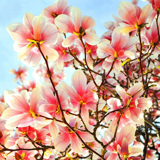 Hd-158577-ascw158577