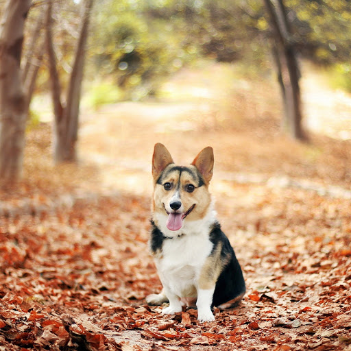 Hd-180672-ascw180672