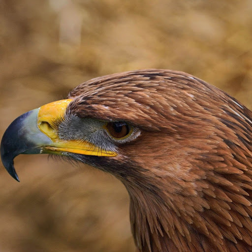 Hd-138573-ascw138573