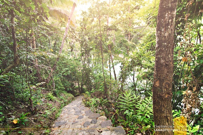 Siquijor The Enchanting Cambugahay Falls At Lazi Lakad Pilipinas