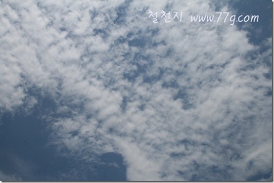 철천지IMG_2176-20110721-170707