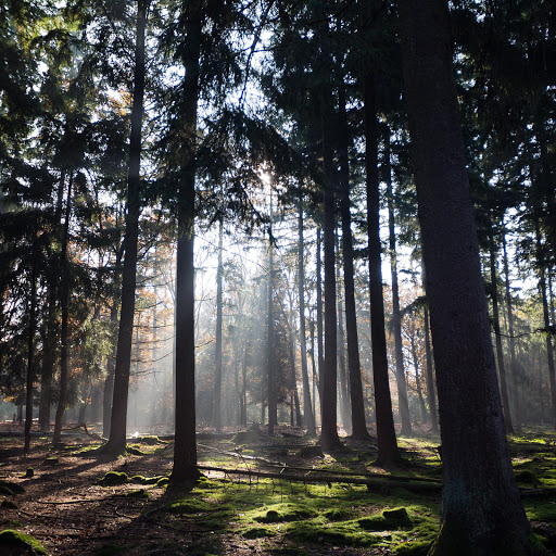 Hd-183127-ascw183127