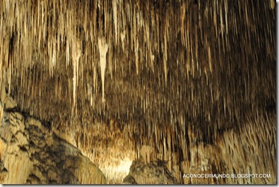 12-Cuevas del Drach - DSC_0132