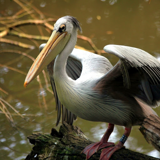 Hd-180594-ascw180594