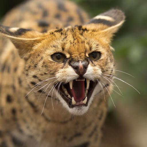 Hd-154378-ascw154378