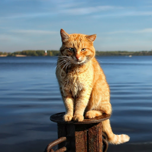 Hd-179987-ascw179987