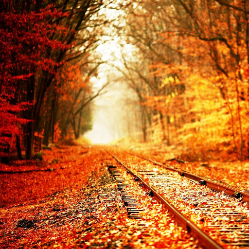 Hd-157622-ascw157622