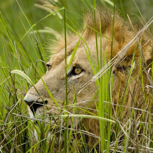 Hd-163139-ascw163139