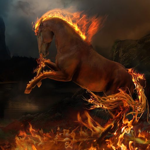 Hd-170327-ascw170327