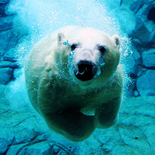 Hd-157599-ascw157599