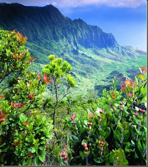 Hawaii-poze