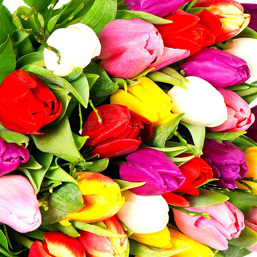 Hd-139864-ascw139864