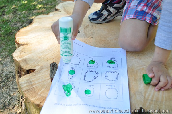 Tree Shapes Worksheet Outdoor Activity