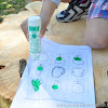 Tree Shapes Outdoor Activity (Worksheet and Printable)