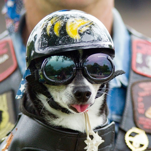 Hd-138281-ascw138281