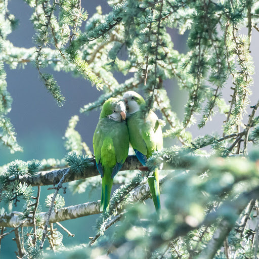 Hd-178600-ascw178600