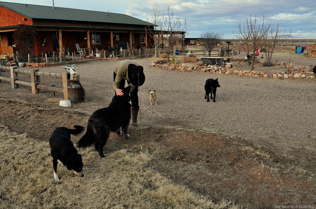 [DSC_0011%255B6%255D.jpg]