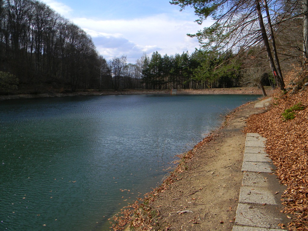 [DSCN82123.jpg]