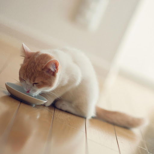 Hd-136414-ascw136414