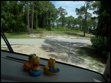 Site 46 St. George Island 002