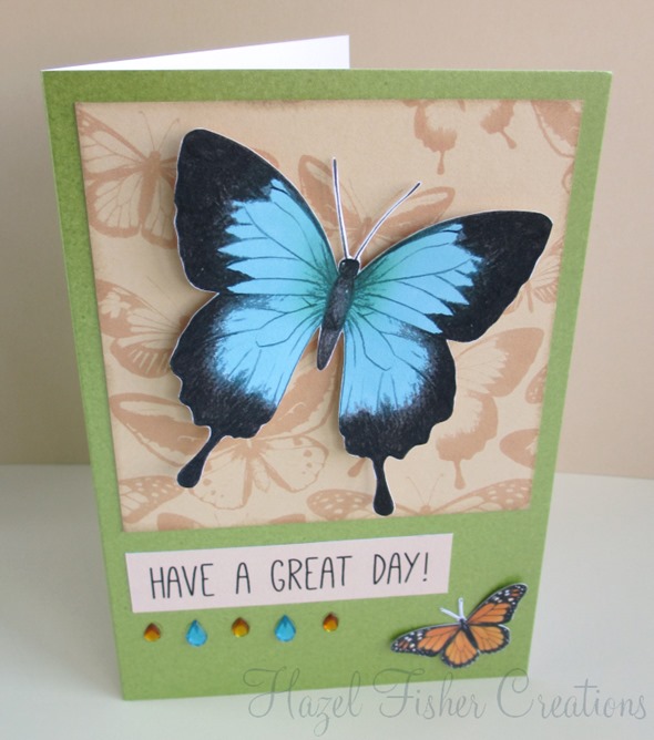 2013Mar04 Butterfly birthday card