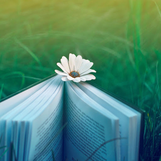 Hd-133409-ascw133409