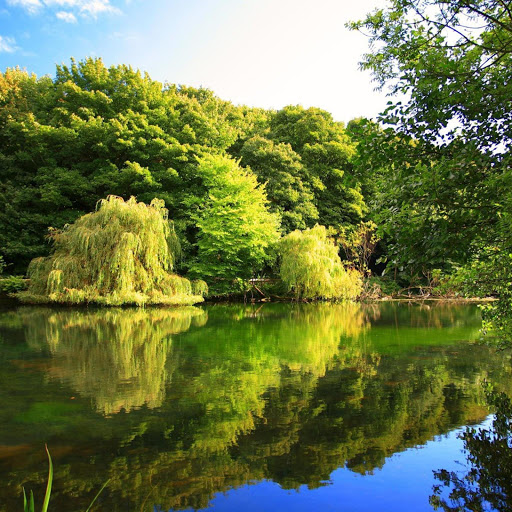 Hd-141226-ascw141226