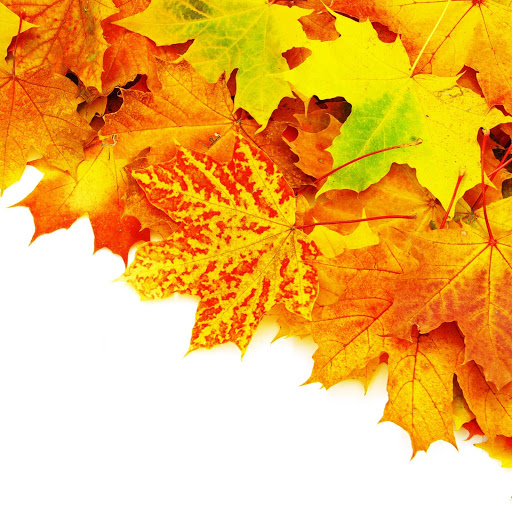 Hd-142207-ascw142207