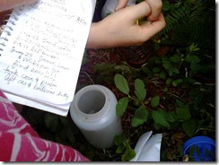 geocaching00