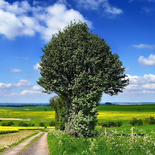 Hd-152689-ascw152689