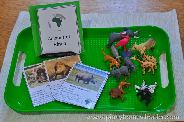 Animals of Africa Description Cards