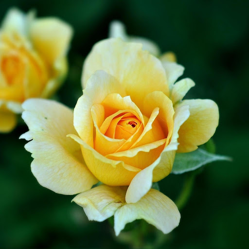 Hd-177043-ascw177043