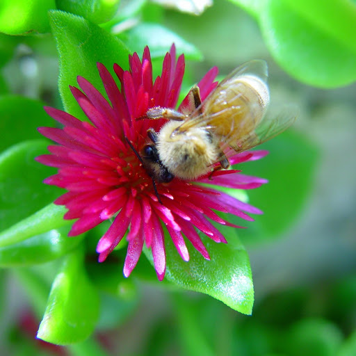 Hd-152843-ascw152843