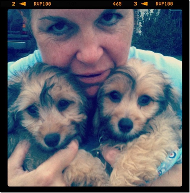 sue and puppies