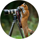 Image Google de Carole Delaruelle